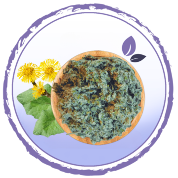 Podbeľ liečivý - list